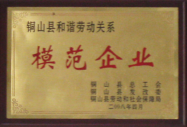 模范企業(yè)