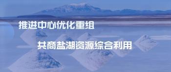 國(guó)家鹽湖資源綜合利用工程技術(shù)研究中心第四屆技術(shù)委員會(huì)會(huì)議召開(kāi)